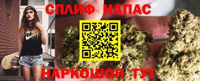 ALPHA PVP Кингисепп