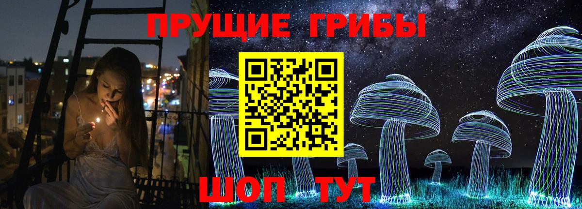 Псилоцибиновые грибы GOLDEN TEACHER  Псилоцибиновые грибы мухоморы  наркошоп  Вход с VPN  Лениногорск 